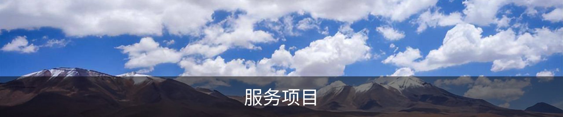 服务项目